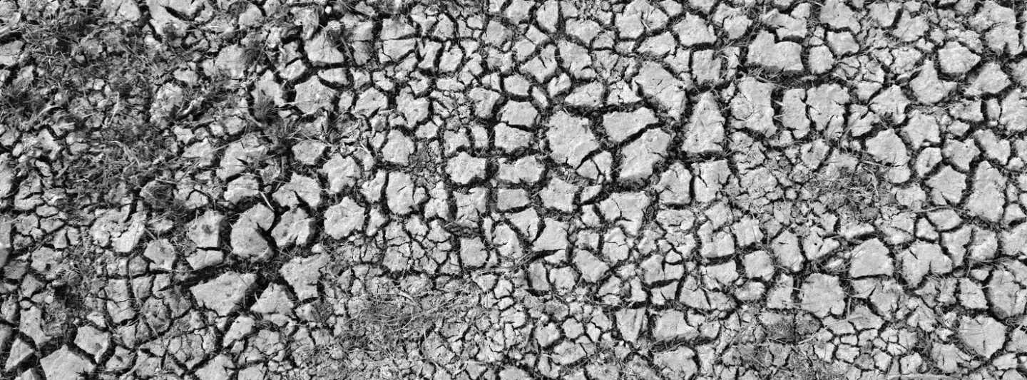 Cracked earth during Sri Lanka's dry season
