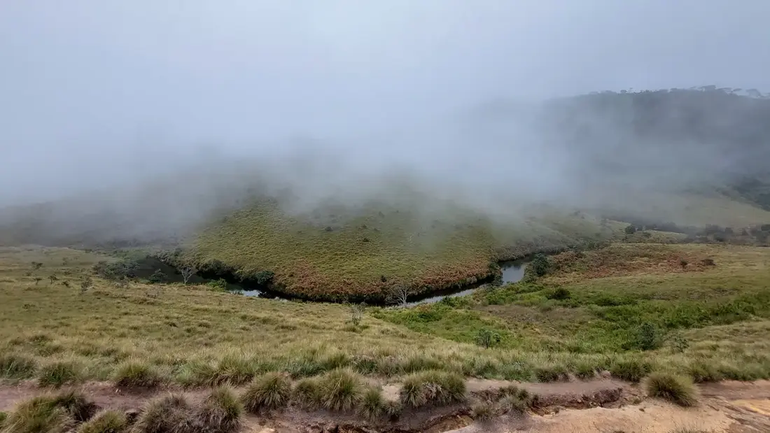 A stream winding through misty Horton Plains